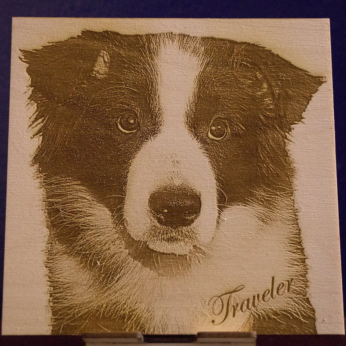 A photo of a border collie engraved into wood, signed with the name Traveler